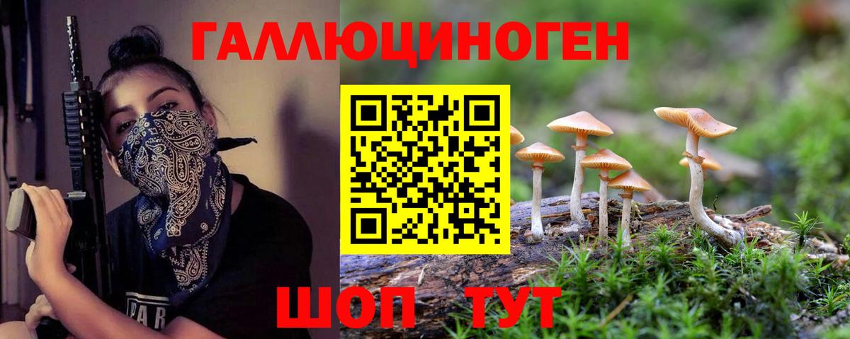 Псилоцибиновые грибы GOLDEN TEACHER  Галлюциногенные грибы прущие грибы  Вход с VPN  Кропоткин 